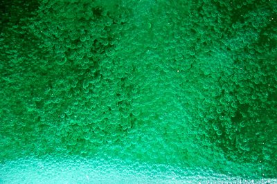 Green bubbles_4981616517_l.jpg